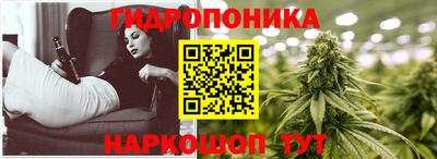 PSILOCYBIN Будённовск
