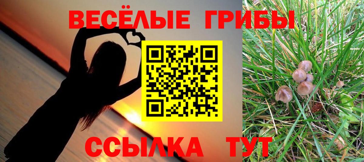Псилоцибиновые грибы Psilocybine cubensis  Псилоцибиновые грибы GOLDEN TEACHER  Каменск-Шахтинский  Вход с VPN 
