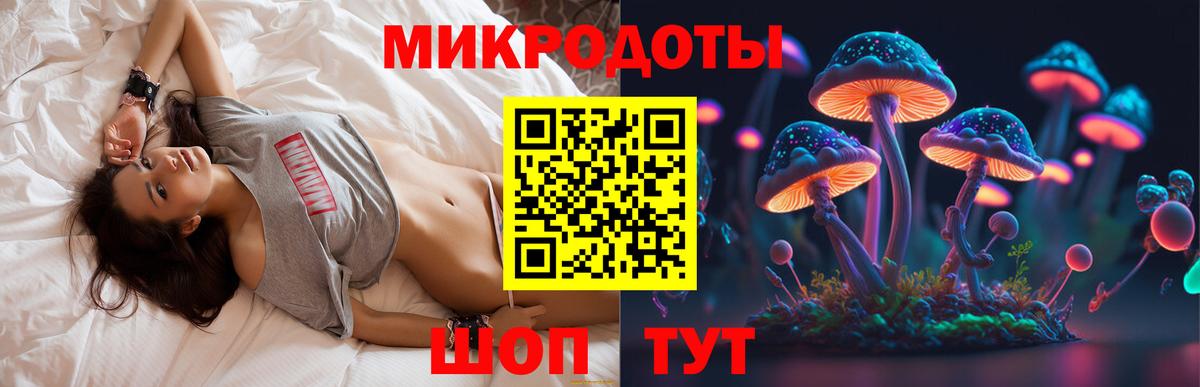 Псилоцибиновые грибы Cubensis Каменск-Шахтинский